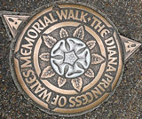 diana princess walk