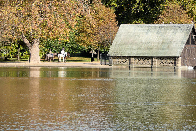 horses in hyde park
