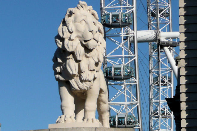 Queen Lion